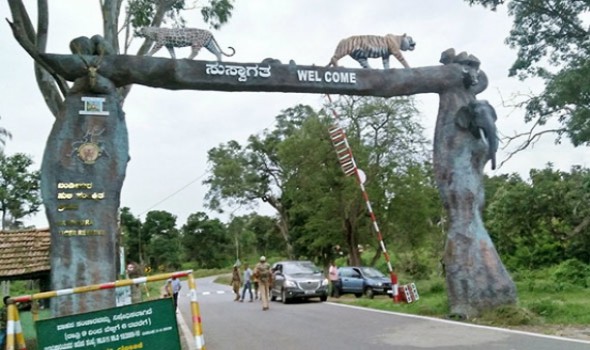 Bandipur National Park