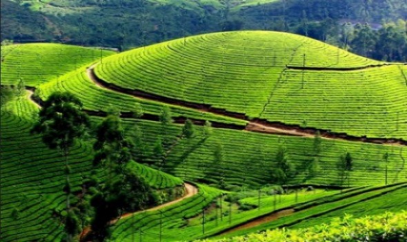 Munnar