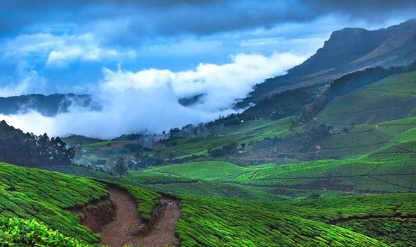 MUNNAR LOCAL TOUR