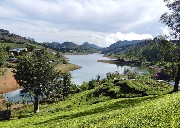 Muthu Tourism