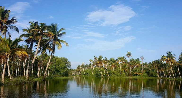 Poovar Island backwaters meeting Arabian Sea Kerala